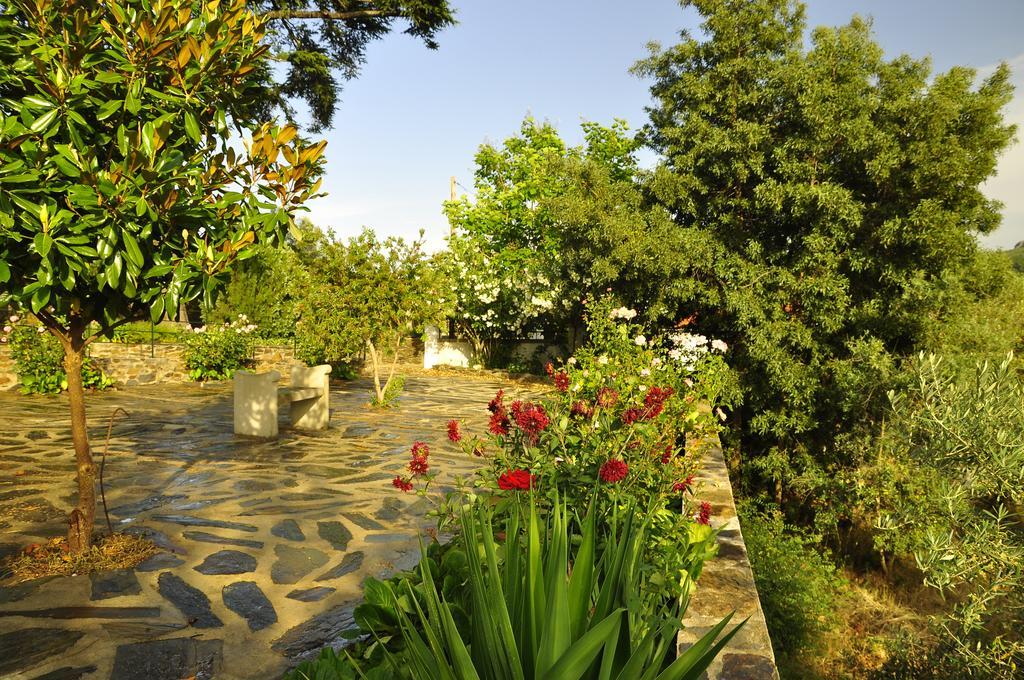 Vila Maria Castelo de Vide Buitenkant foto